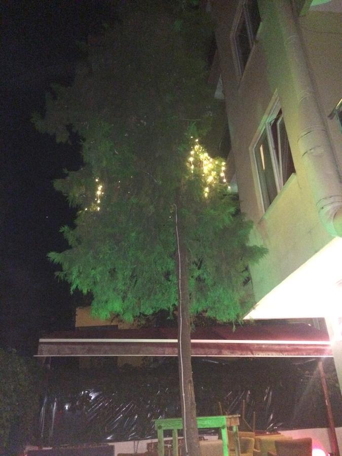 Alanya Demir Hotel Exterior foto